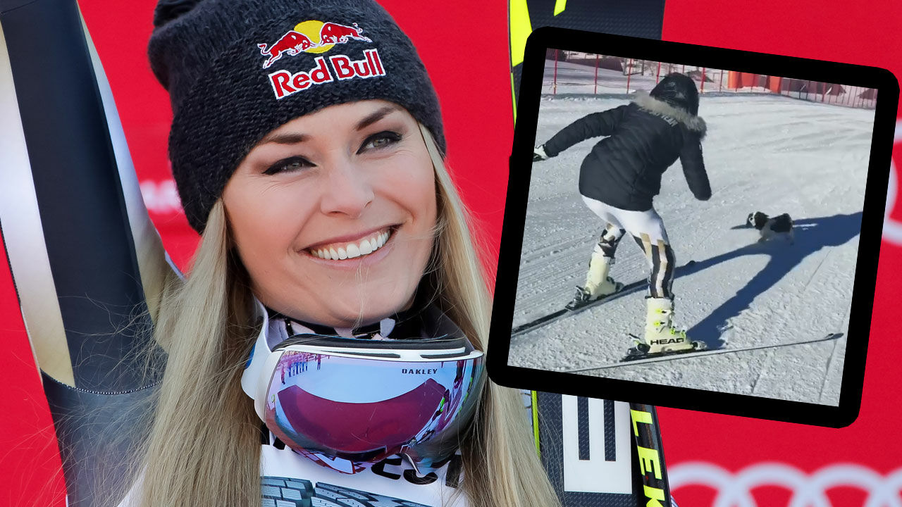 Lindsey Vonn Gewinnt Wettrennen Mit Ihrem Hund Wintersport Ski Alpin