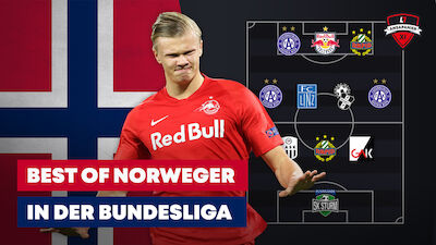 Best of Norweger in der Bundesliga