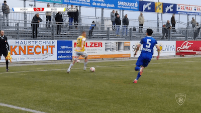 Highlights: SV Horn - SV Ried