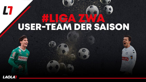 2. Liga: Das LAOLA1-User-Team der Herbstsaison