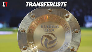 Die Winter-Transferliste der Bundesliga