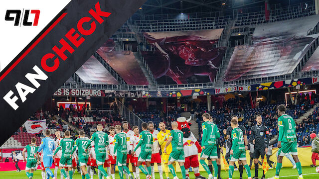 Fan-Check: Salzburg-Fans werden immer weniger